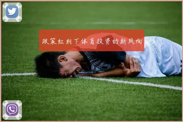 政策红利下体育投资的新风向