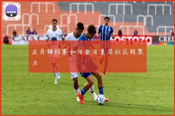 龙舟锦标赛如何激活基层社区凝聚力